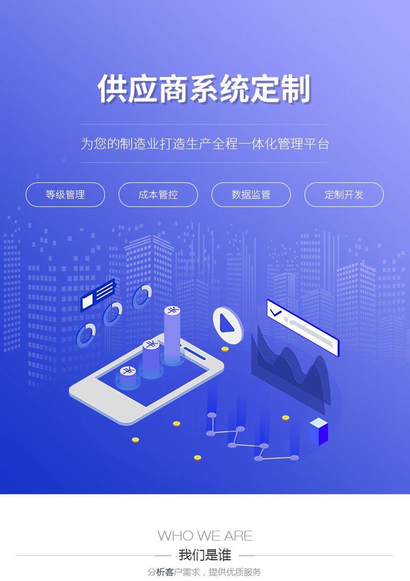 企业信息化管理:定制化需求成为主流